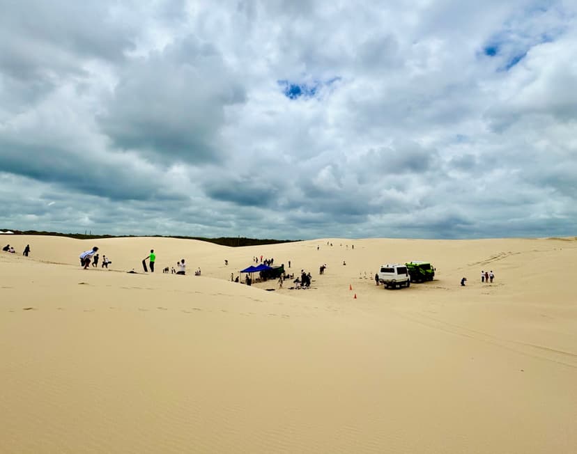 One-Day Dolphin Cruise & Sand Boarding Tour, Newcastle